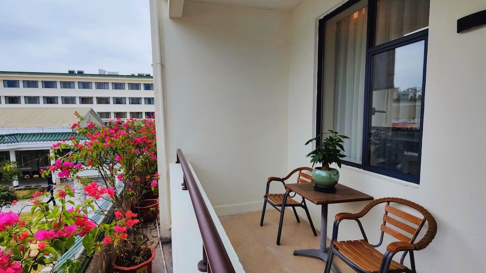 white swan guest house