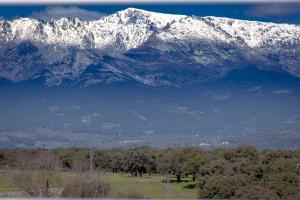 estrellas de gredos