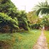phu quoc