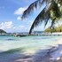cali phu quoc hotel