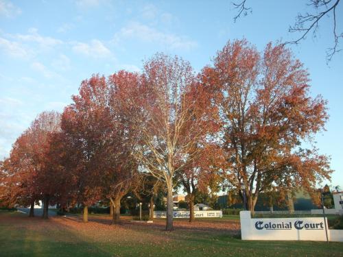 colonial court motor inn