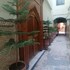 fes