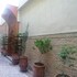 fes