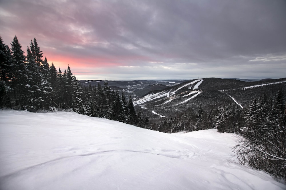 stoneham condos and hotel