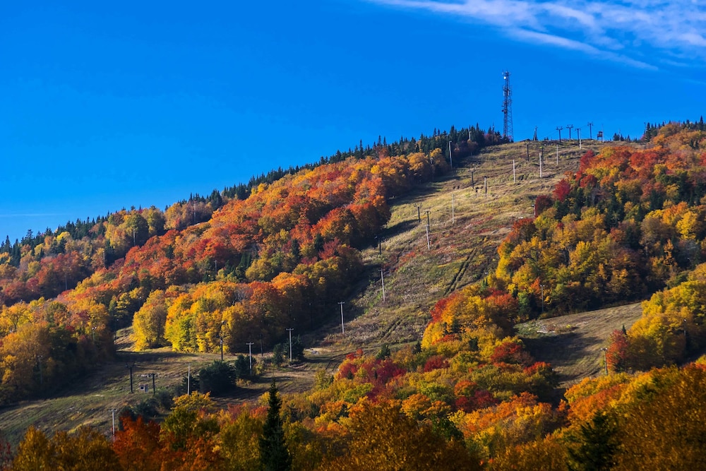 stoneham condos and hotel