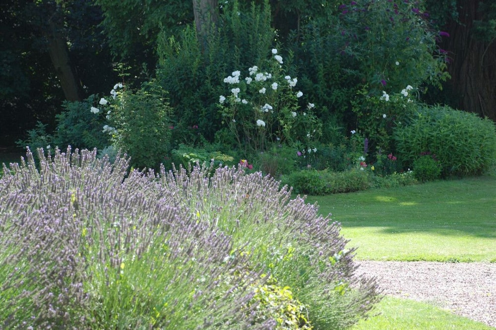 chateau de saint paterne