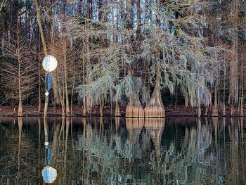 eutawville