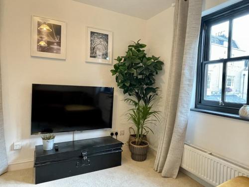 cosy oasis in the heart of clifton village