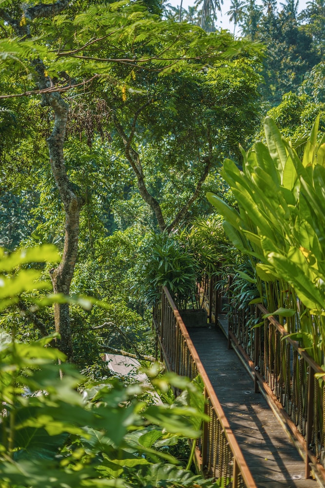 kanva ubud