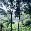 cochin