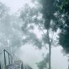 cochin