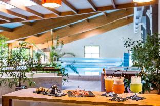 best western le relais de laguiole hotel and spa