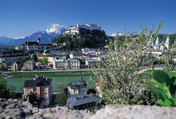 hotel rosenvilla
