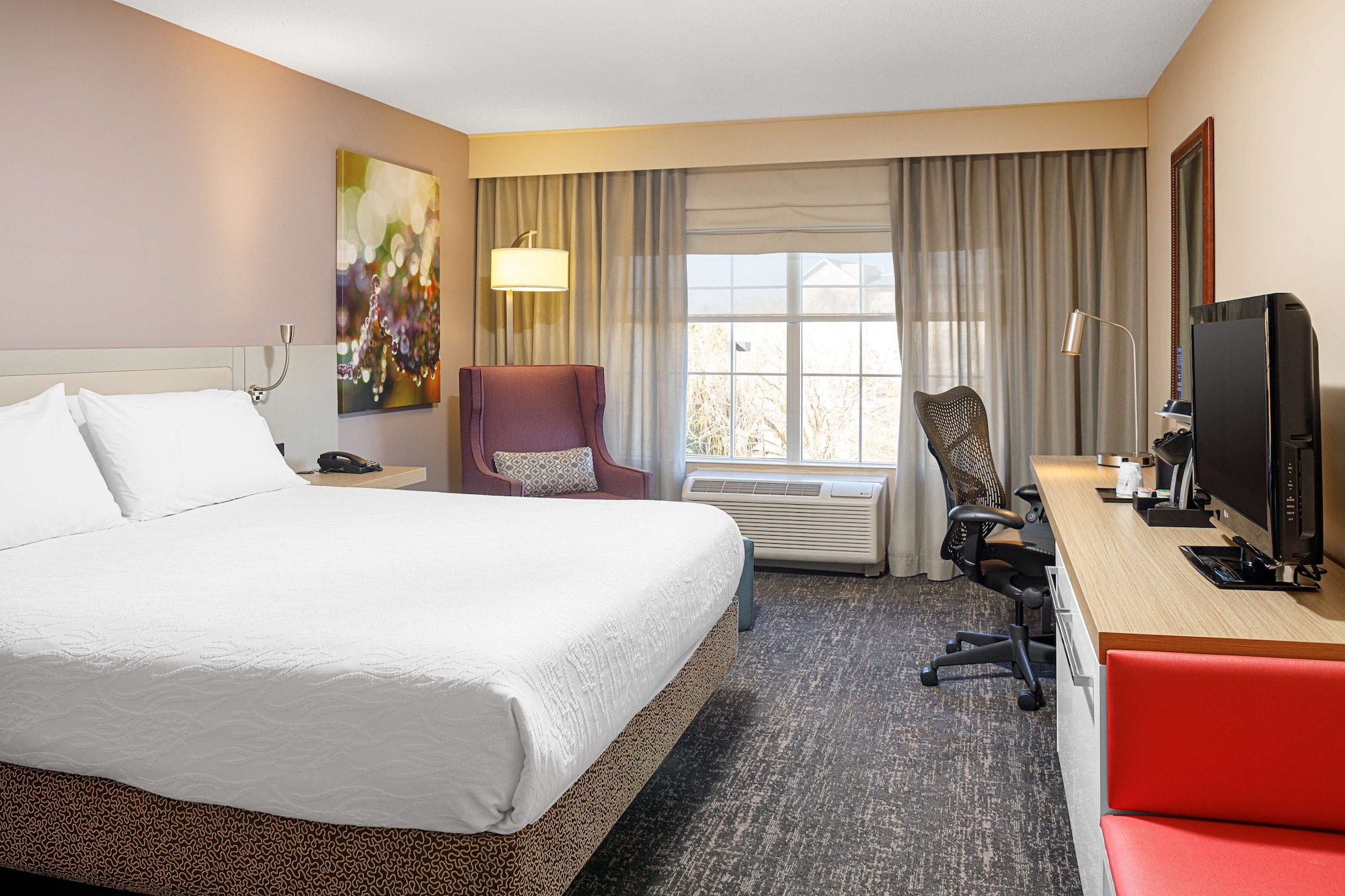 hilton garden inn fredericksburg