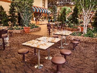 livinn hotel minneapolis north fridley