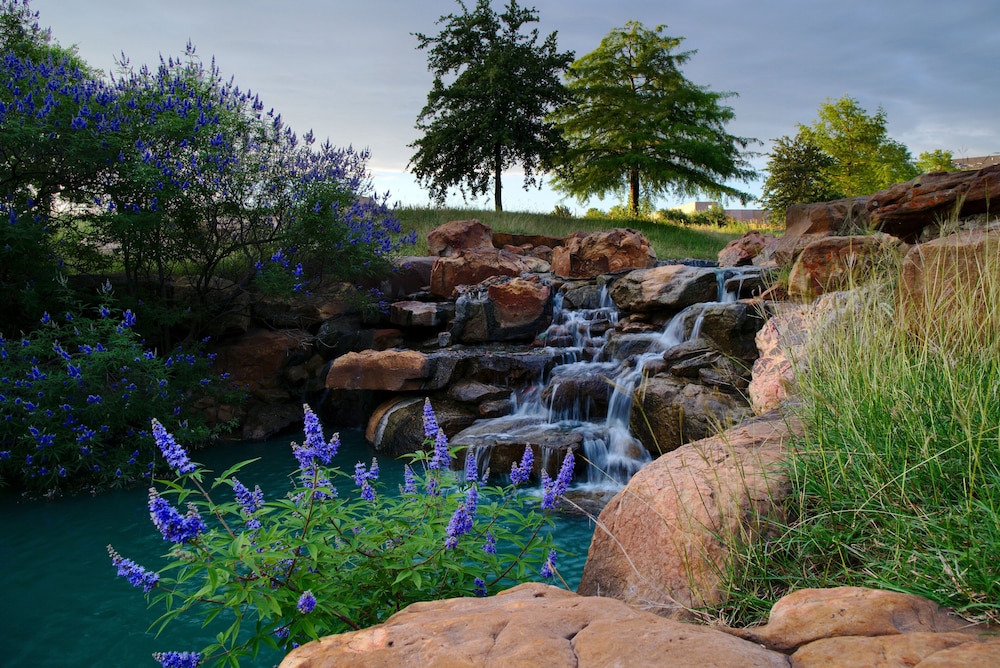 holiday inn express frisco legacy park area by ihg