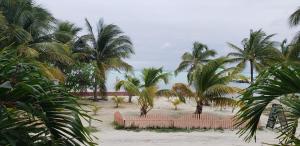 caye caulker