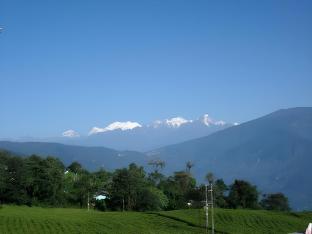 cherry resort south sikkim