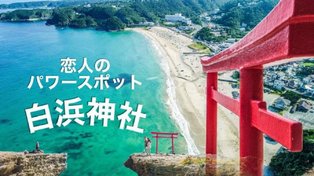 izu dog club