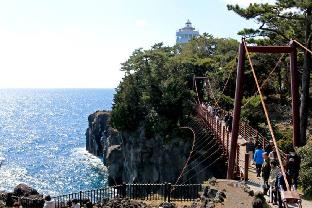 izu dog club