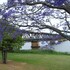 fitzroy motor inn grafton