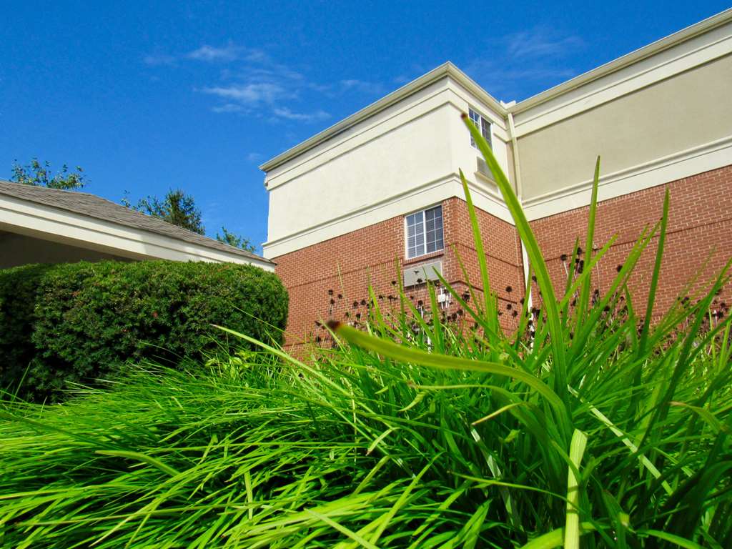 sonesta simply suites columbus airport gahanna