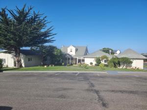 diamond island resort and penguin viewing