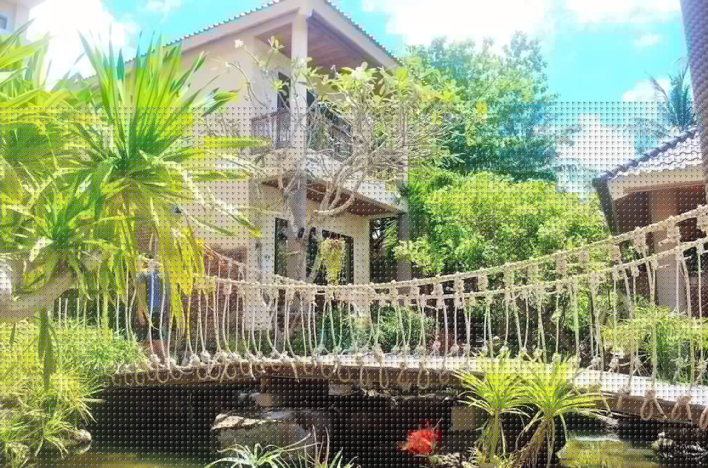 coral bay resort