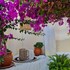 syros