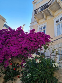 syros