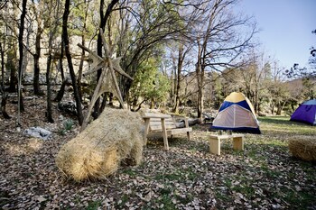 Wood Hills Hotel & Resort,,3 star