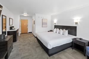 best western wesley inn and suites