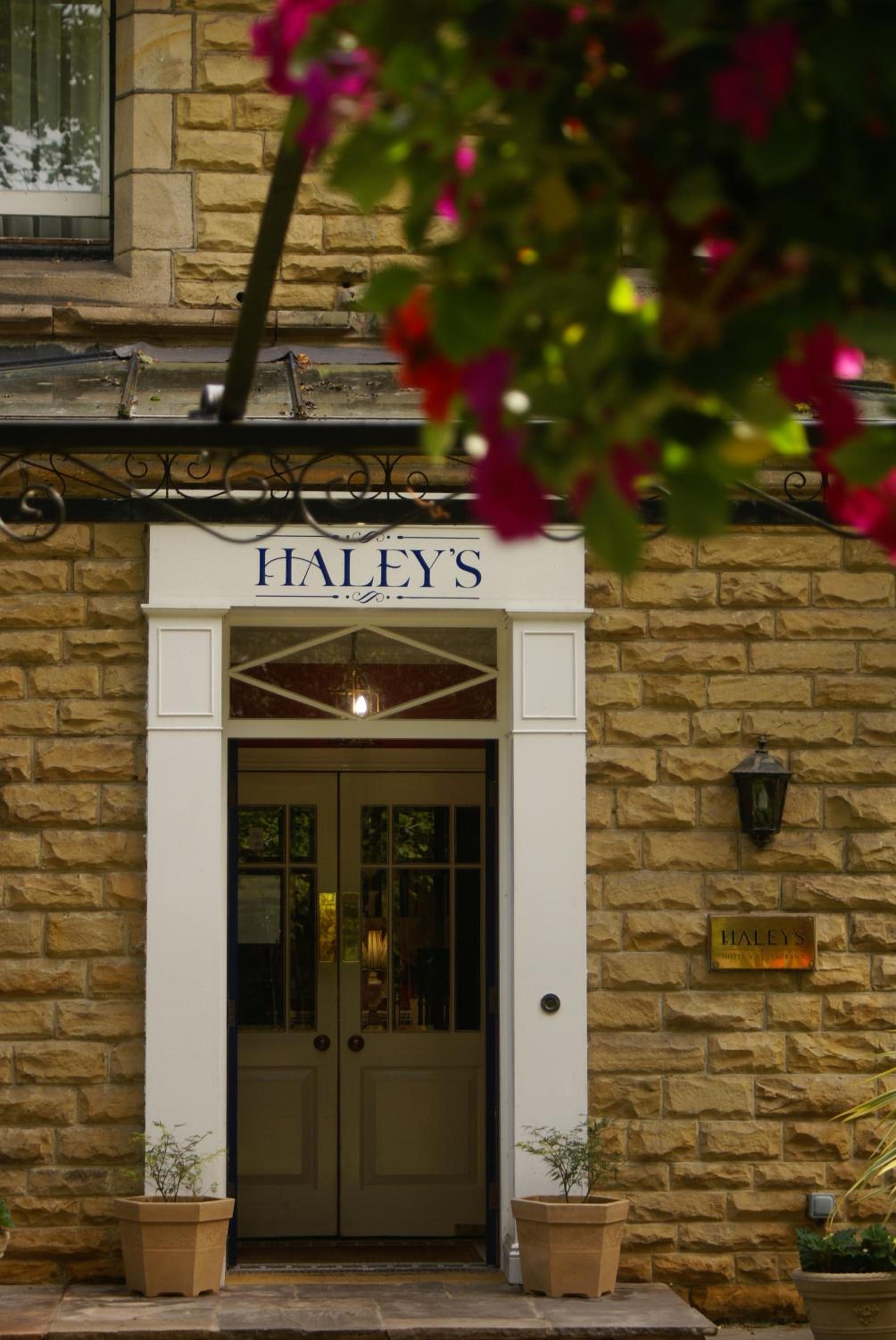 haleys hotel