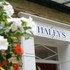 haleys hotel