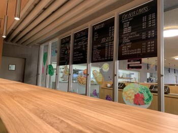 lausanne youth hostel jeunotel