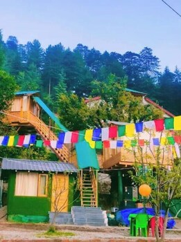 manali treehouse and cafe