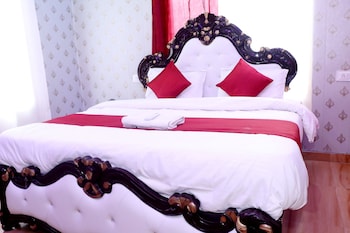 hotel krishna manu palace