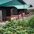 himalayan stay lodges