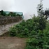 himalayan stay lodges
