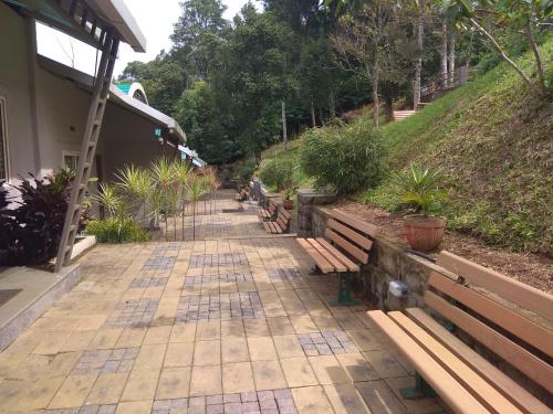 windale resorts munnar