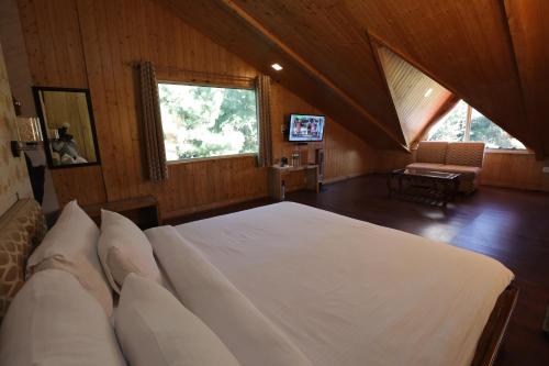 kvr clarks inn kufri