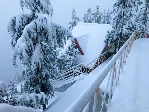 kvr clarks inn kufri