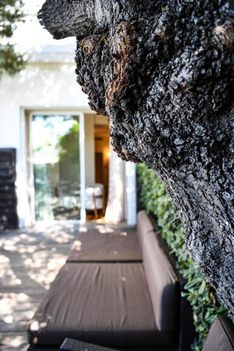 le petit nice passedat