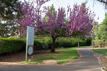 hagalil haelyon