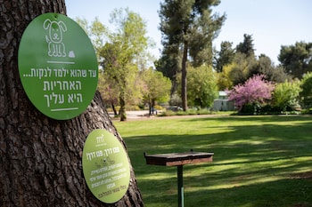 hagalil haelyon