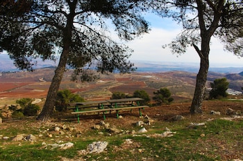 hagalil haelyon
