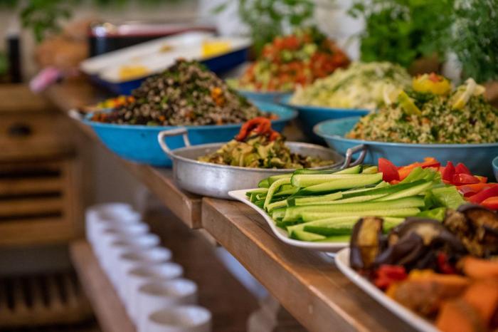hagalil haelyon