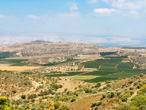 malkiya travelhotel