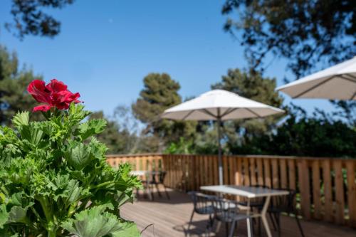 malkiya travelhotel