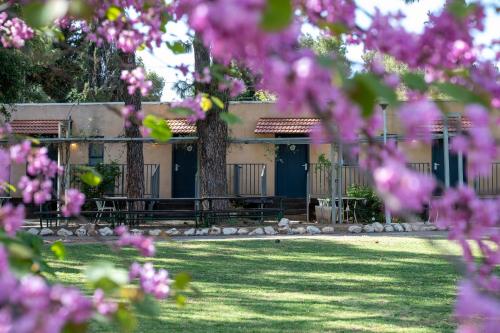malkiya travelhotel